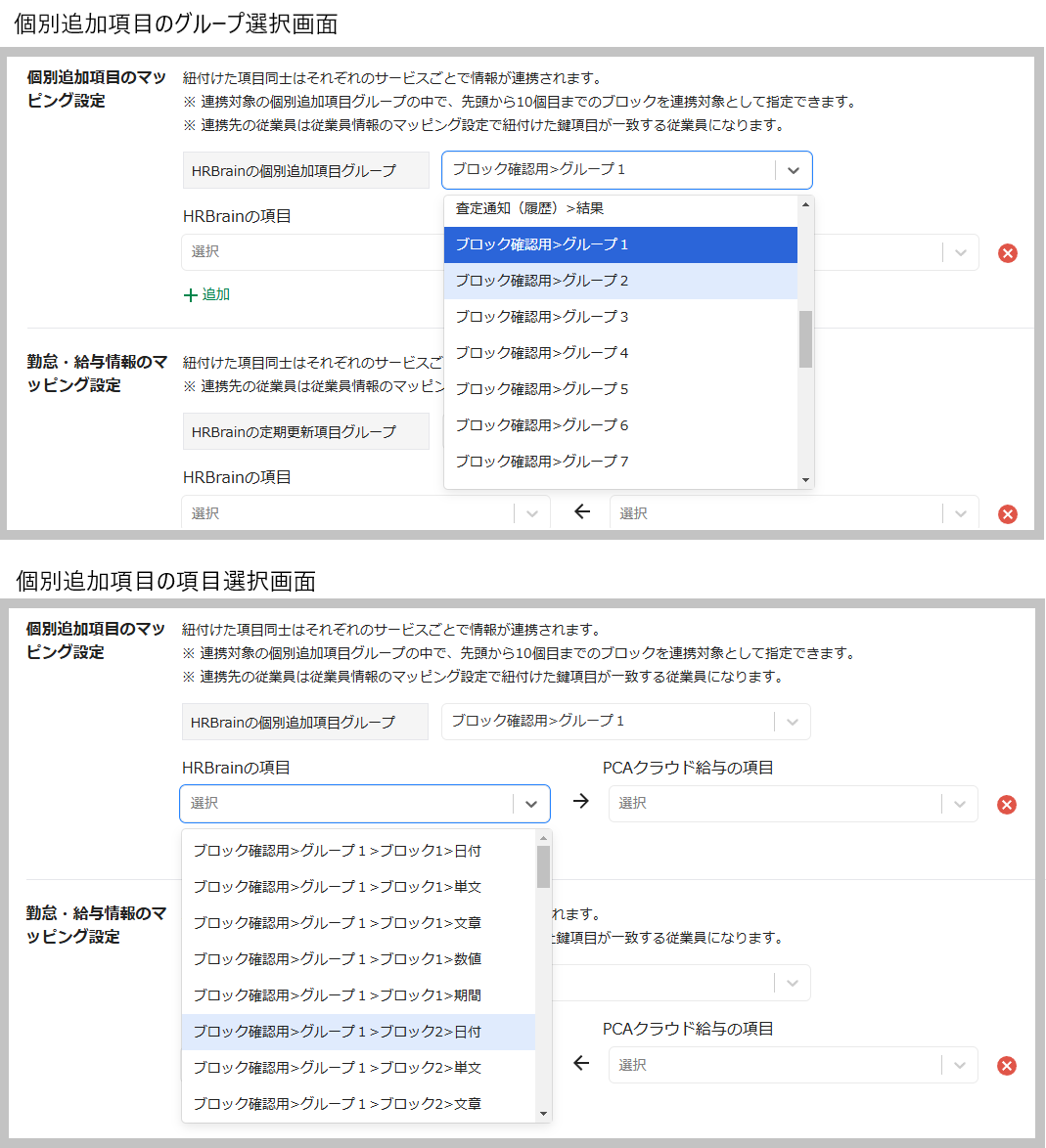 hrbrain奉行個別追加項目２.png